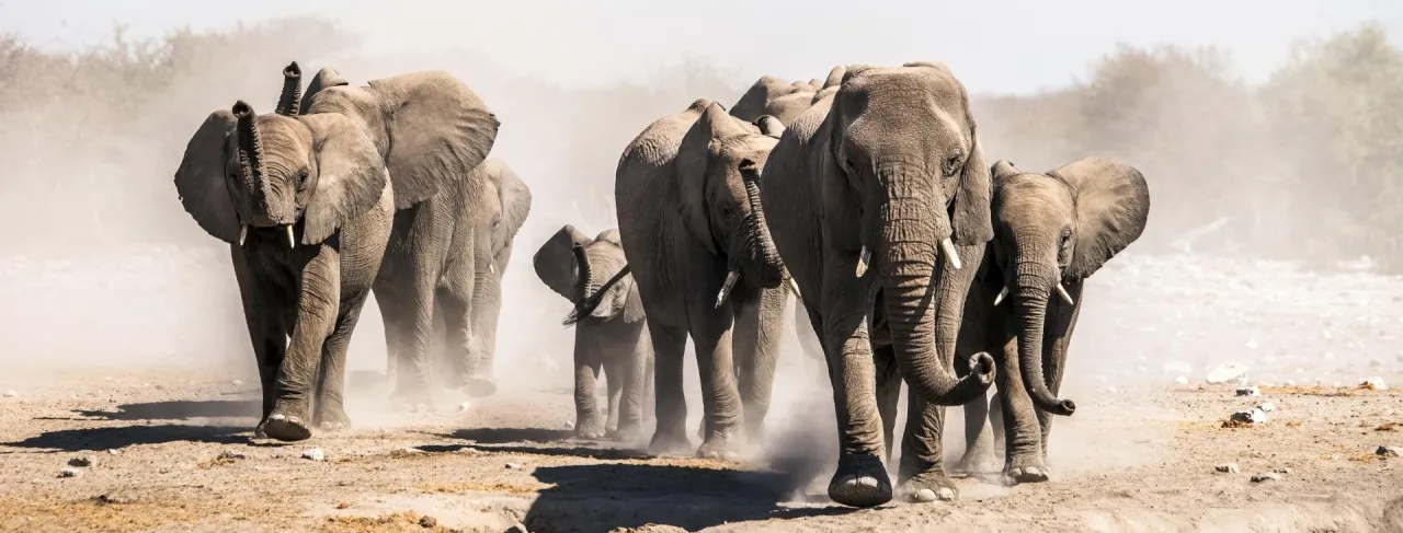 Najlepsze atrakcje w Namibii, które musisz zobaczyć podczas podróży