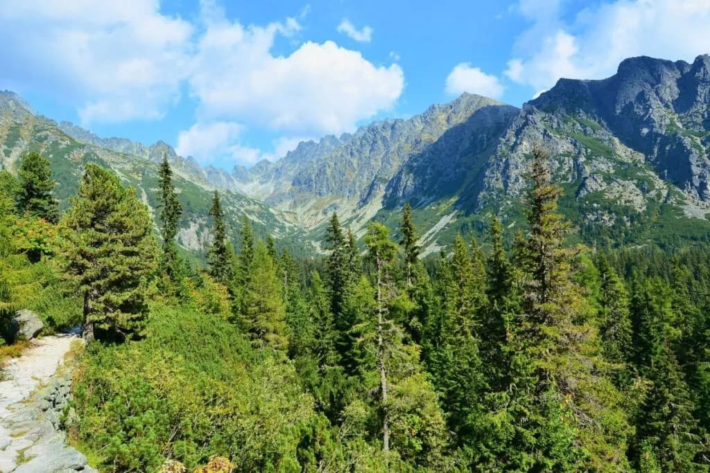 Najlepsze atrakcje w Bukowinie Tatrzańskiej, które musisz zobaczyć
